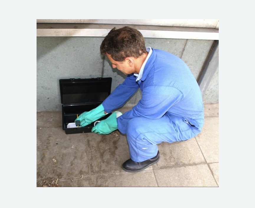 Уничтожение мышей в Орехово-Зуево Уничтожение мышей