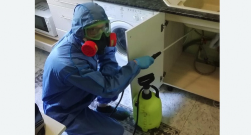 Уничтожение муравьев в квартире. Орехово-Зуево