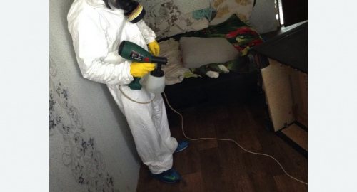 Обработка квартир от насекомых в Орехово-Зуево