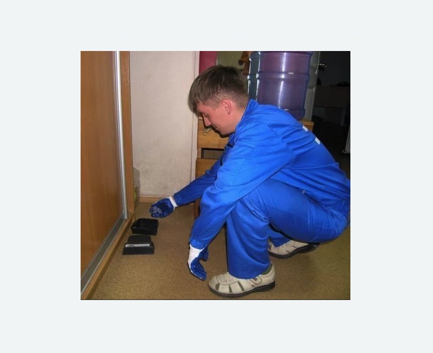 Дератизация крыс Дератизация крыс в Орехово-Зуево