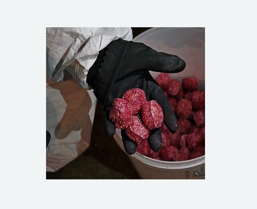 Обработка от крыс Обработка от крыс в Орехово-Зуево