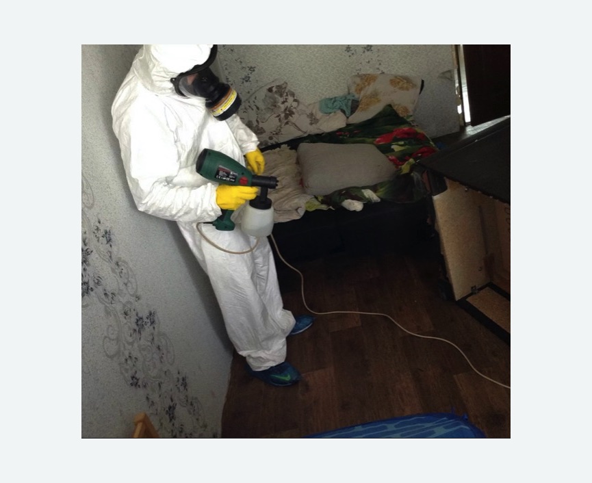 Обработка от насекомых в Орехово-Зуево Обработка квартиры от насекомых
