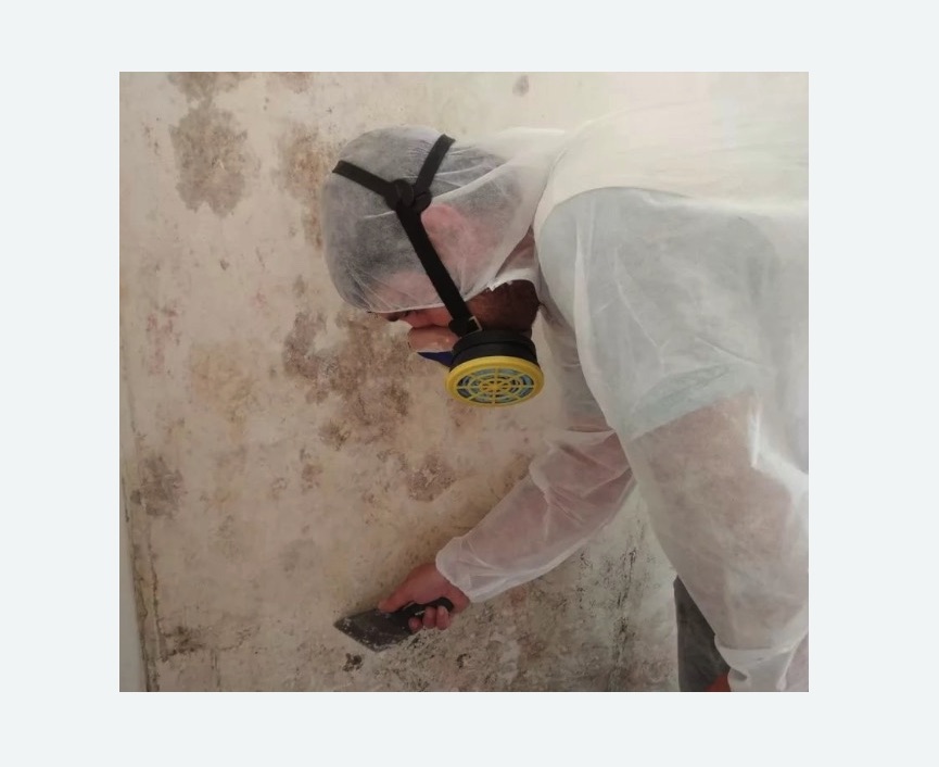 Обработка стен от плесени в Орехово-Зуево