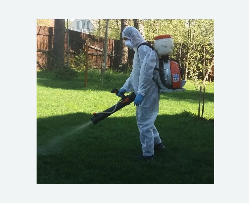 Обработка участка от клещей в Орехово-Зуево Обработка участка от клещей