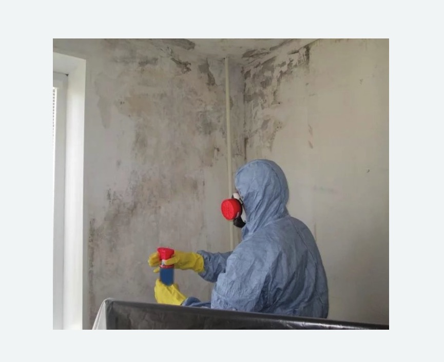 Удаление плесени в квартире в Орехово-Зуево