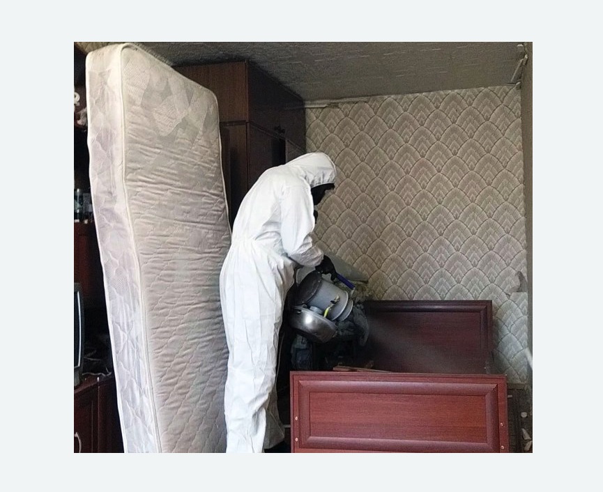 дезинфекция от клопов дезинфекция от клопов в Орехово-Зуево