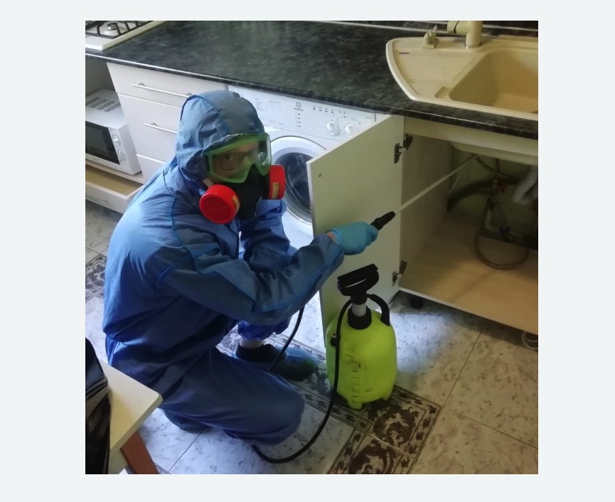 обработка от муравьев в квартире в Орехово-Зуево