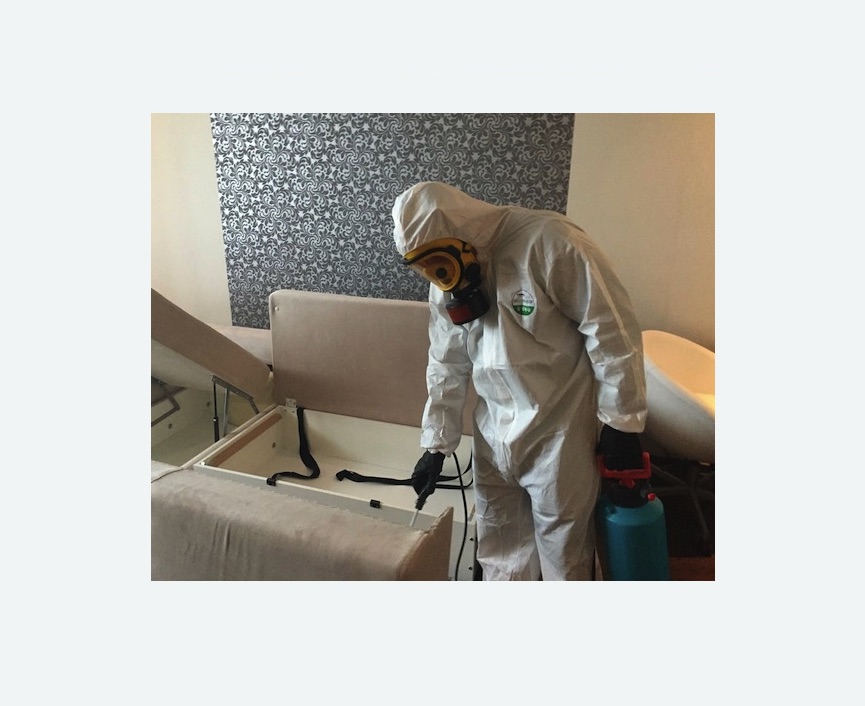 уничтожение клопов в квартире уничтожение клопов в квартире в Орехово-Зуево