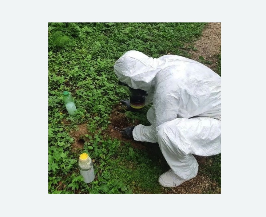 уничтожение кротов на участке уничтожение кротов на участке в Орехово-Зуево