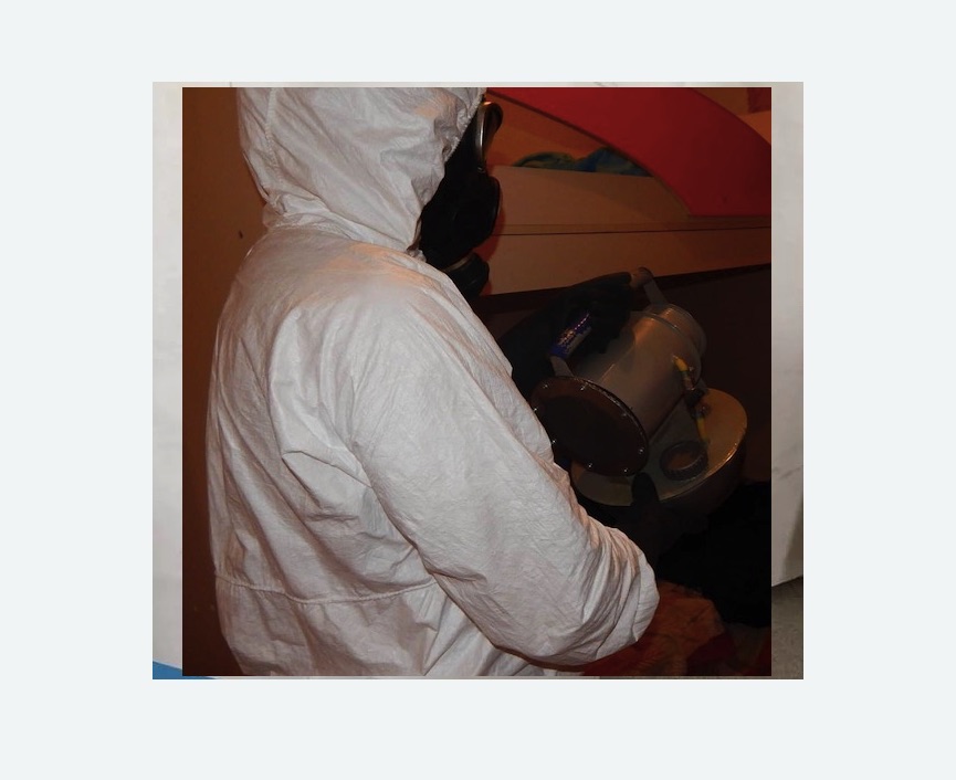 Дезинфекция от муравьев в Орехово-Зуево