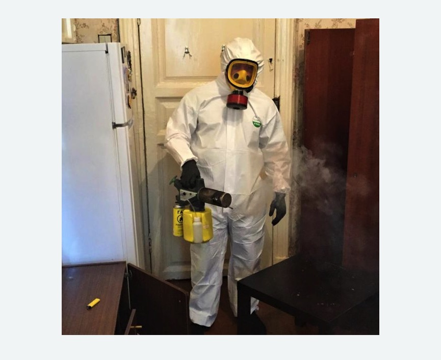 уничтожение муравьев в квартире в Орехово-Зуево